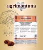 DOM4142 Stracciatella s kusy Marrons glacés Agrimontana-1